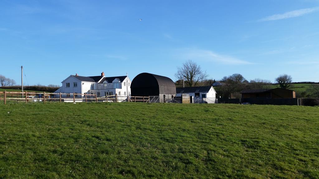 Hotel Pantysgyfarnog Near Carmarthenshire Pembrokeshire Exterior foto